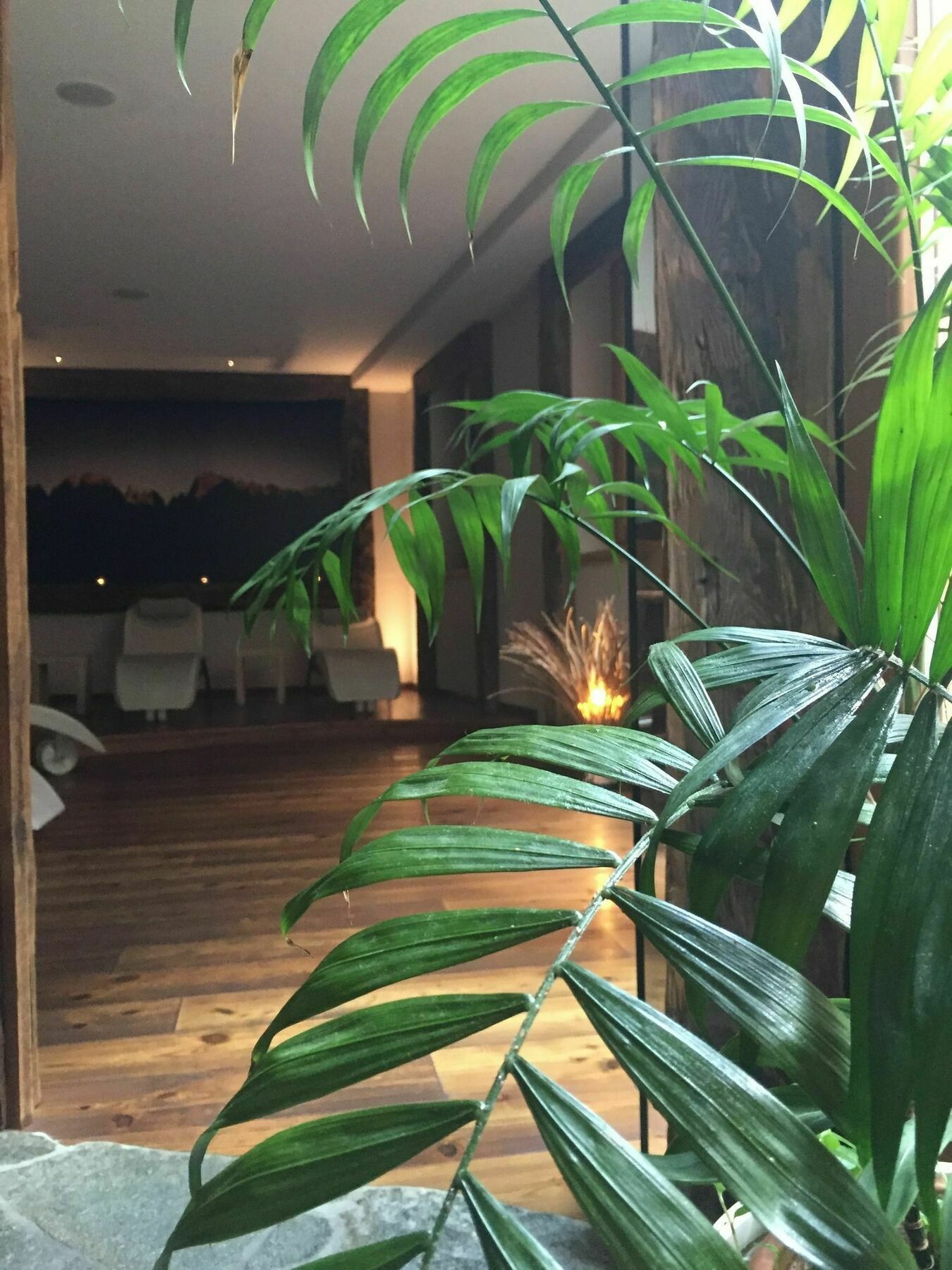 Maribel Hotel Мадона ди Кампильо Екстериор снимка